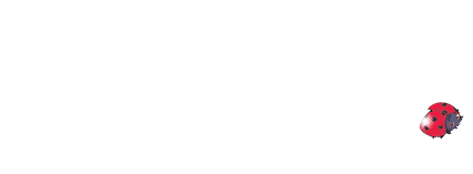 Agence SP Consulting